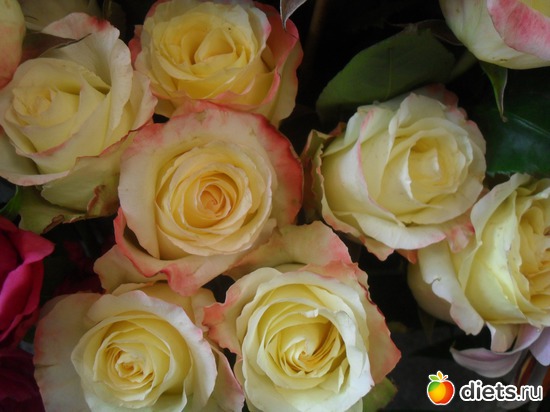 7 ����: ����