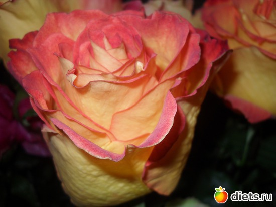 8 ����: ����