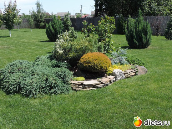 7 ����: 1