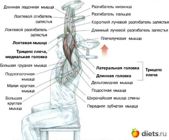 3 ����: ����������-III