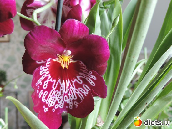 9 ����: �����