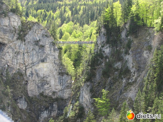 26 фото: Отпуск в Германии