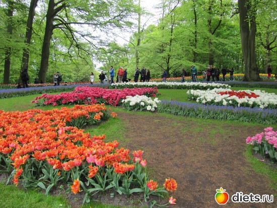 15 фото: Отпуск в Германии