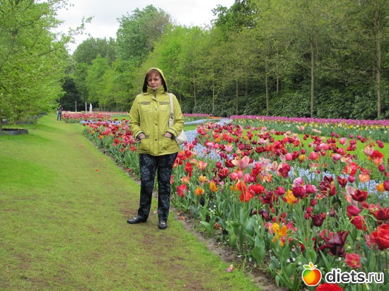 19 фото: Голландия-страна цветов
