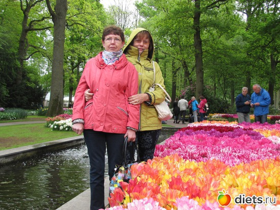 21 фото: Голландия-страна цветов