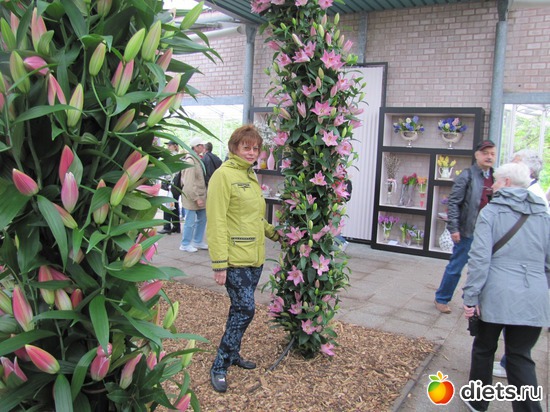 23 фото: Голландия-страна цветов