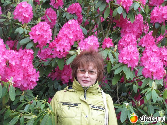 27 фото: Голландия-страна цветов