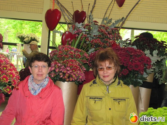 30 фото: Голландия-страна цветов