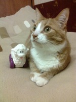 Гарфилду 8 лет