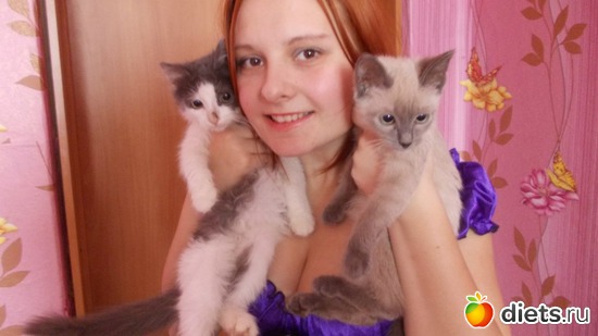 3 ����: ��������