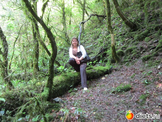 7 ����: ������, �����, ���������