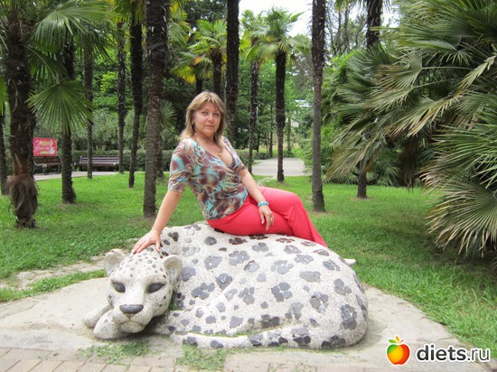 9 ����: ������, �����, ���������