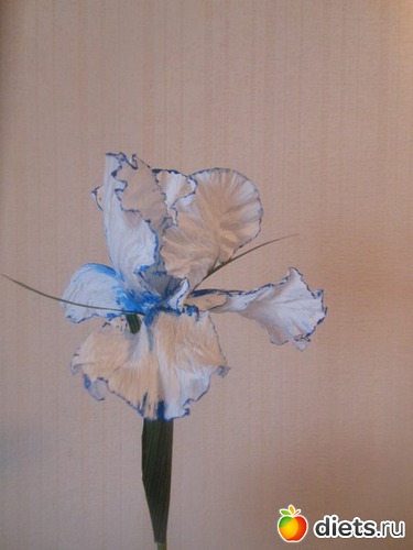 ирис.холодное гофрирование, альбом: букеты из гофро бумаги