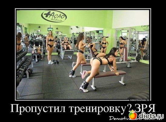 ��� ���� �����, ������: ��������� ��� ����