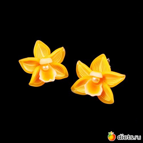 Серьги-орхидеи, альбом: Моё творчество 2014