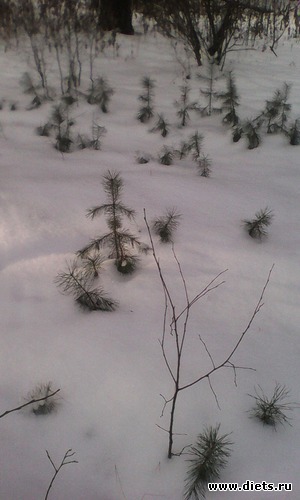 56 фото: разное-интересное)