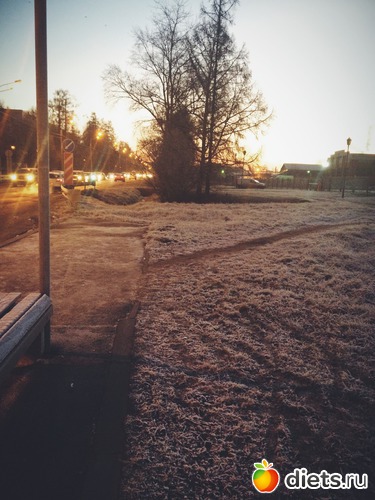 63 ����: �� �����
