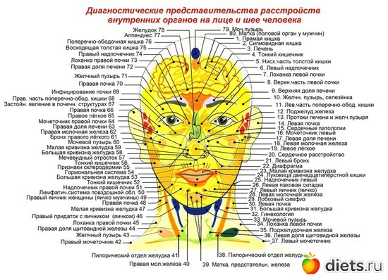 3 ����: ����������