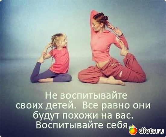 5 ����: ����������
