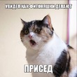 ��� ��� �������� �� �������-��� ������?  (���� ���)