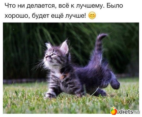 3 ����: ����� � ���������