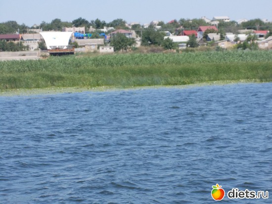 18 ����: ������