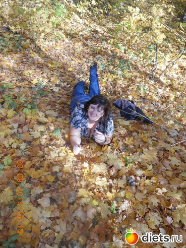 �������2014, ������: �