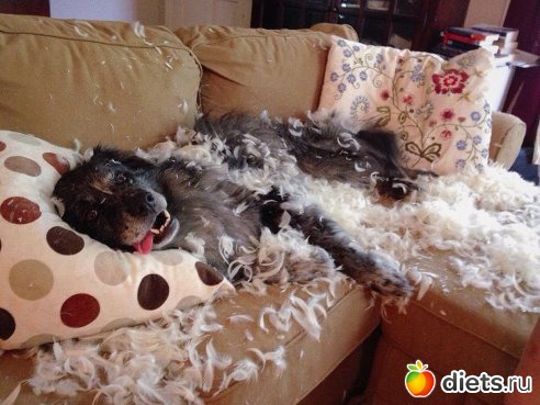 ���� ���-�� ���))