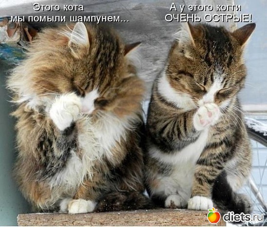 15 фото: Воть как-то так))