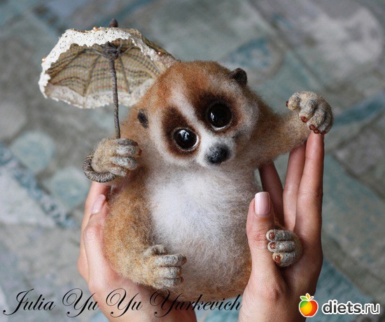 13 ����: Animals