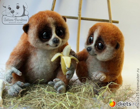 16 ����: Animals