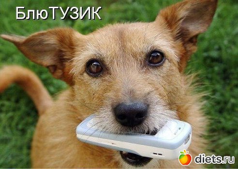 Воть как-то так))