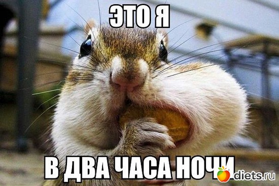 21 ����: ���� ���-�� ���))