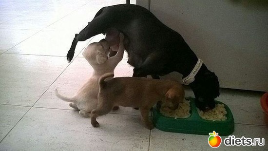 22 фото: Воть как-то так))