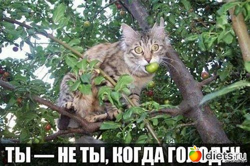 Воть как-то так))