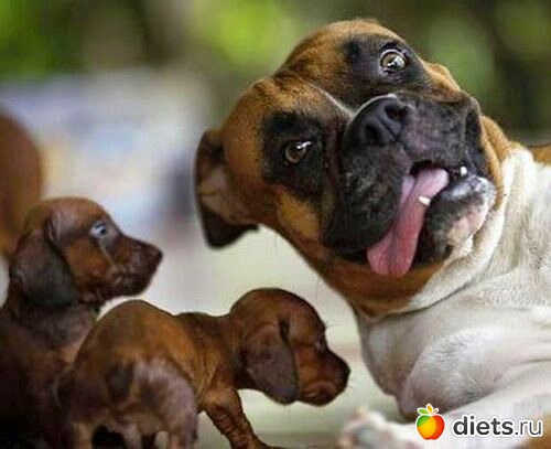 Воть как-то так))