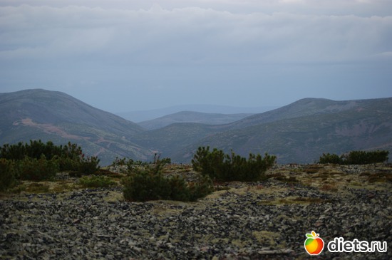 4 ����: ��������