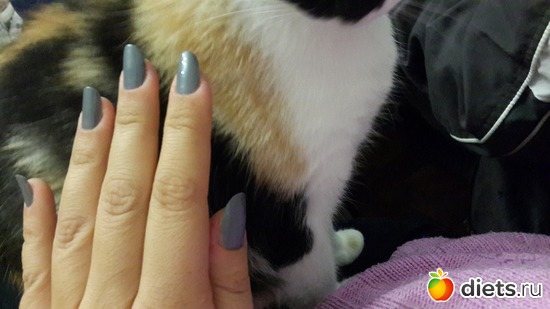 22 ����: 4 posts 4 all