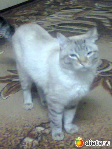 64 ����: �����