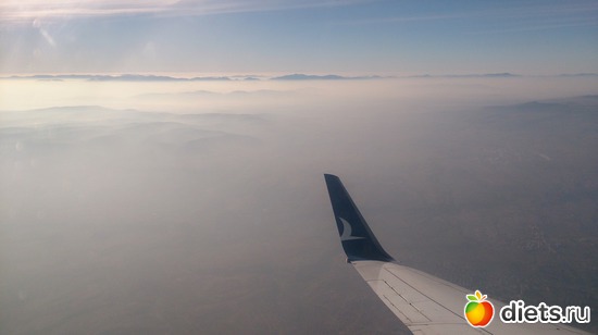 7 ����: ���������, ������