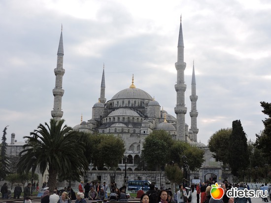 62 ����: ������, �������