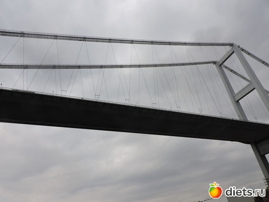 284 ����: ������, �������