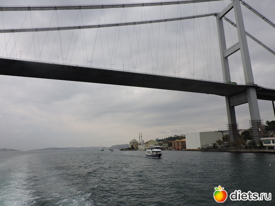 286 ����: ������, �������