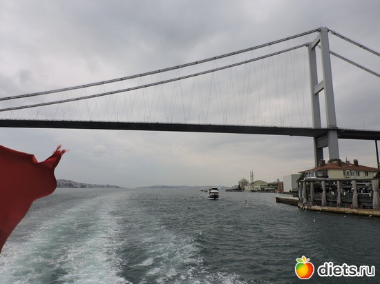 288 ����: ������, �������