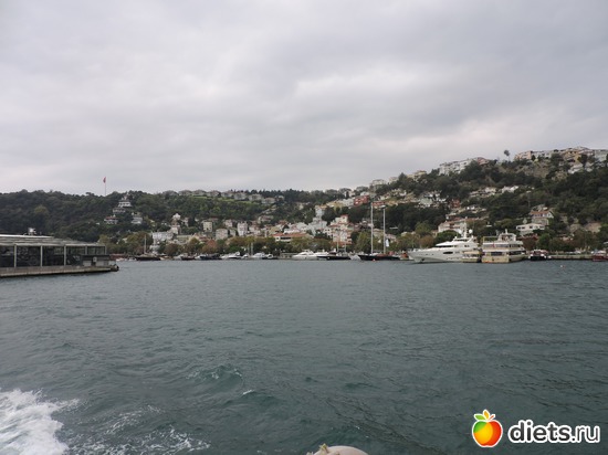 291 ����: ������, �������