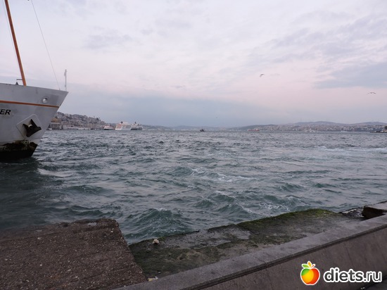 118 ����: ������, �������