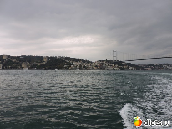 305 ����: ������, �������