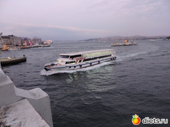 135 ����: ������, �������