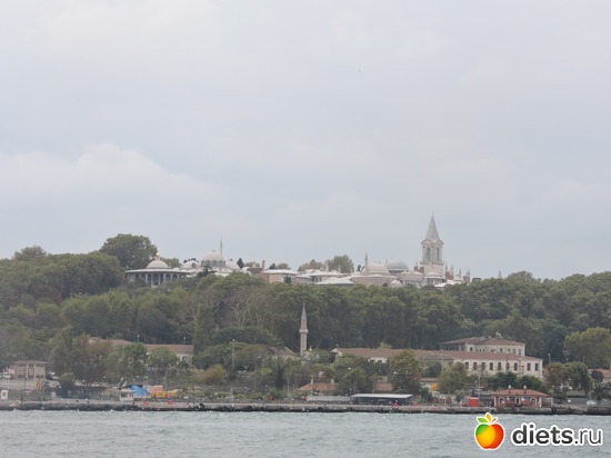 243 ����: ������, �������