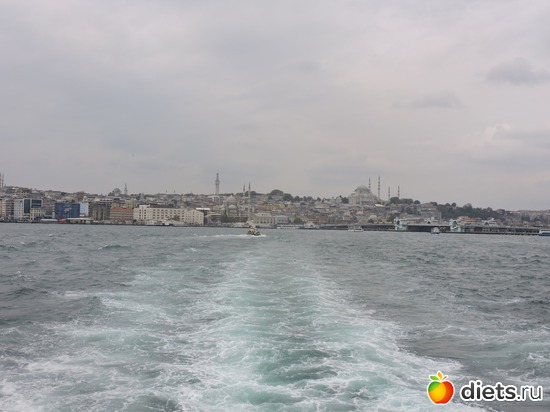 245 ����: ������, �������